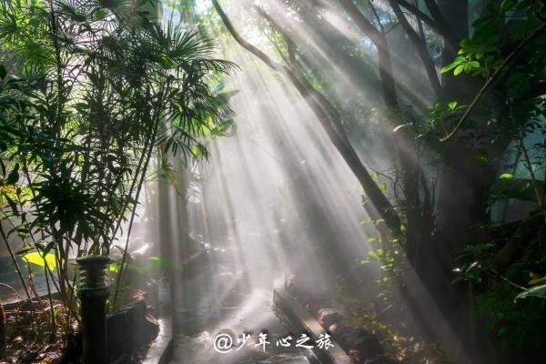 卧室比较适合安装什么亮度的灯？卧室灯光的选择都有哪些呢？